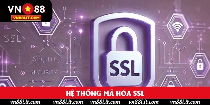 Hệ thống mã hóa SSL